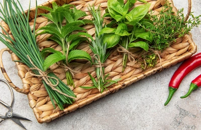 Erbacee e aromatiche - Vivai Il pollice Verde, Asti