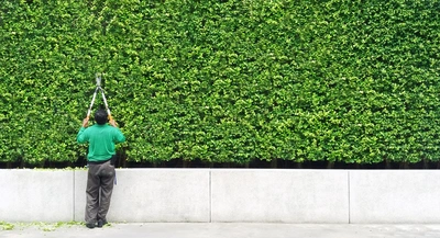 Servizi su misura per ogni spazio verde - Vivai Il pollice Verde, Asti